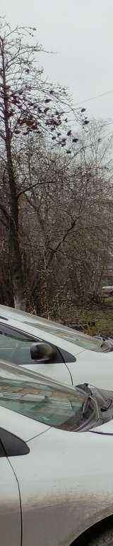 Отзывы на компанию Орто+ в г. Киселёвск c фото