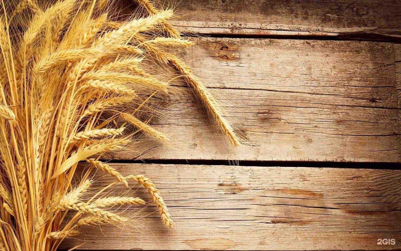 Отзывы на компанию Платинум в Барнауле c фото