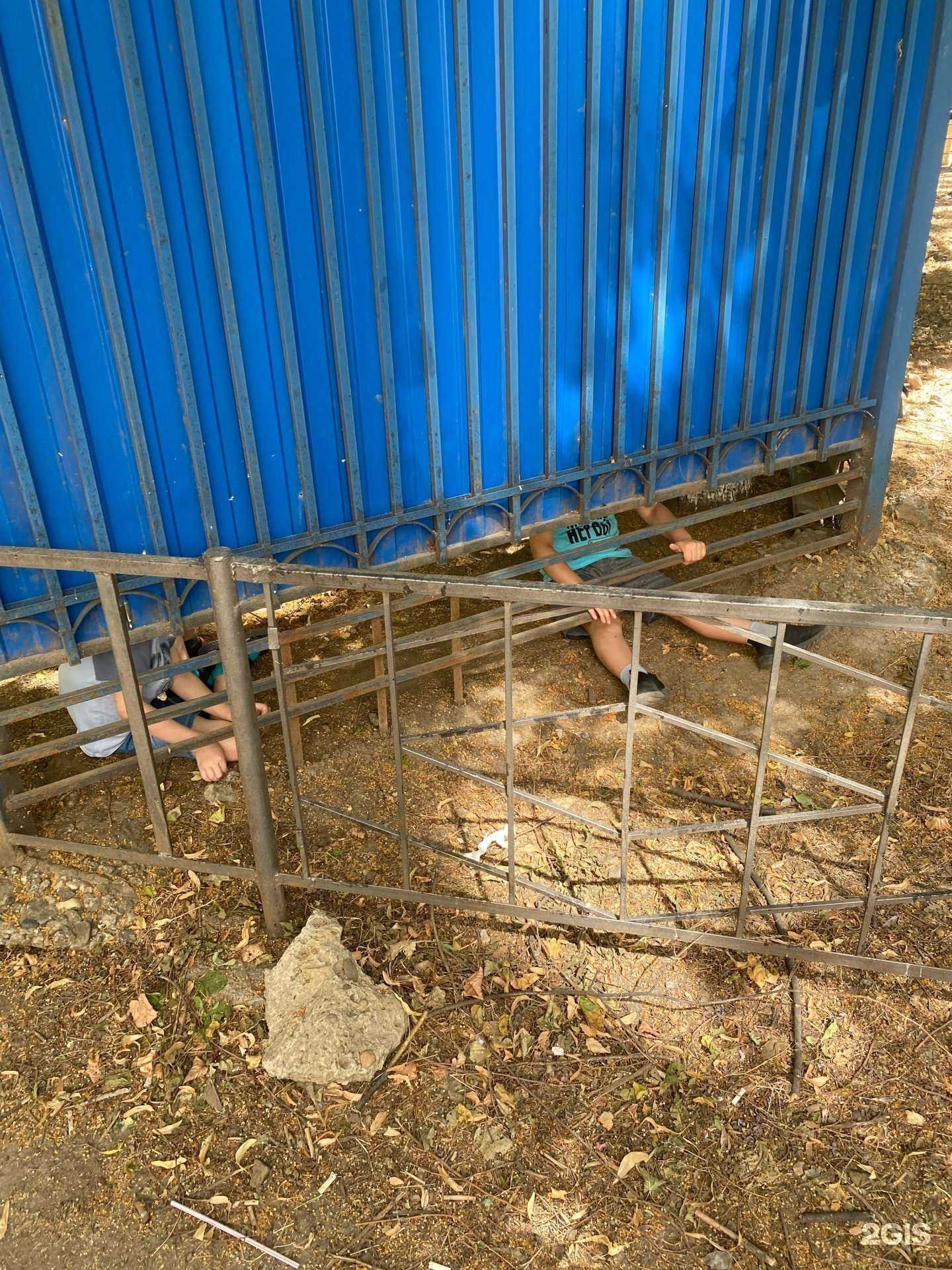 Отзывы на компанию Детский сад №221 в Краснодаре c фото