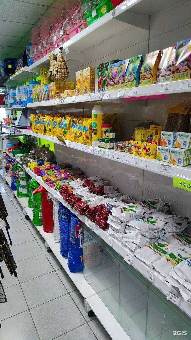 Отзывы на компанию Зверята в Новороссийске c фото