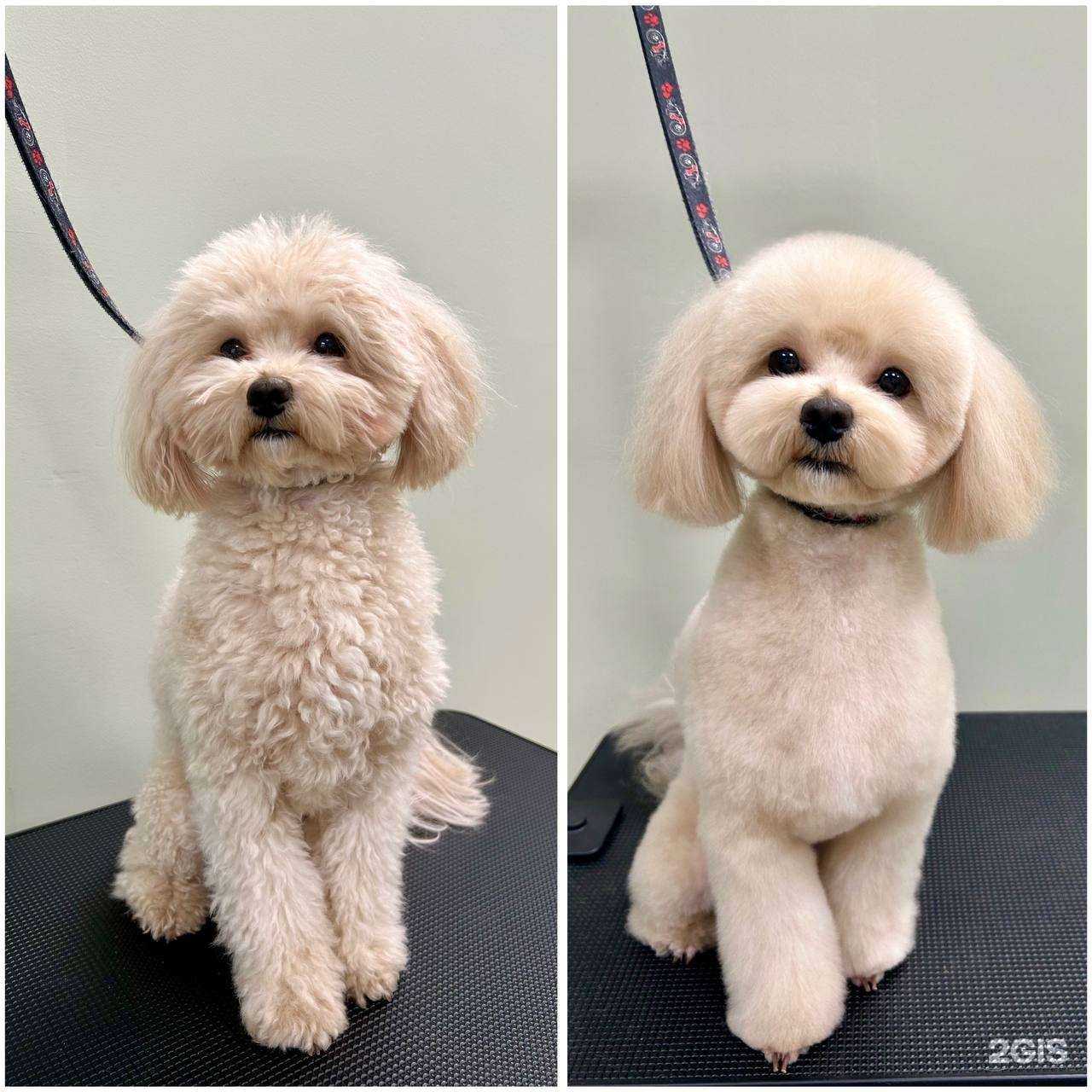 Отзывы на компанию Grooming`s Vibe в Рязани c фото