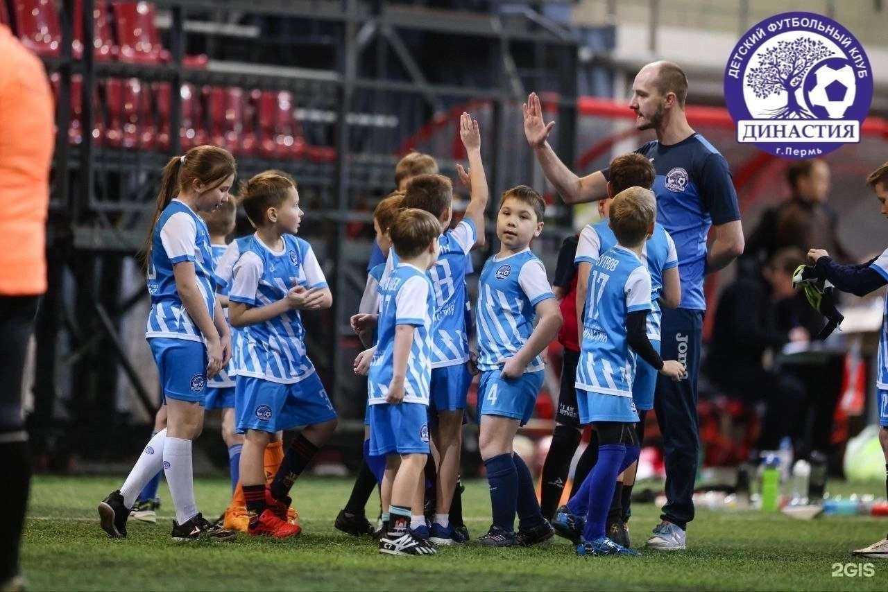 Отзывы на компанию Династия в Перми c фото