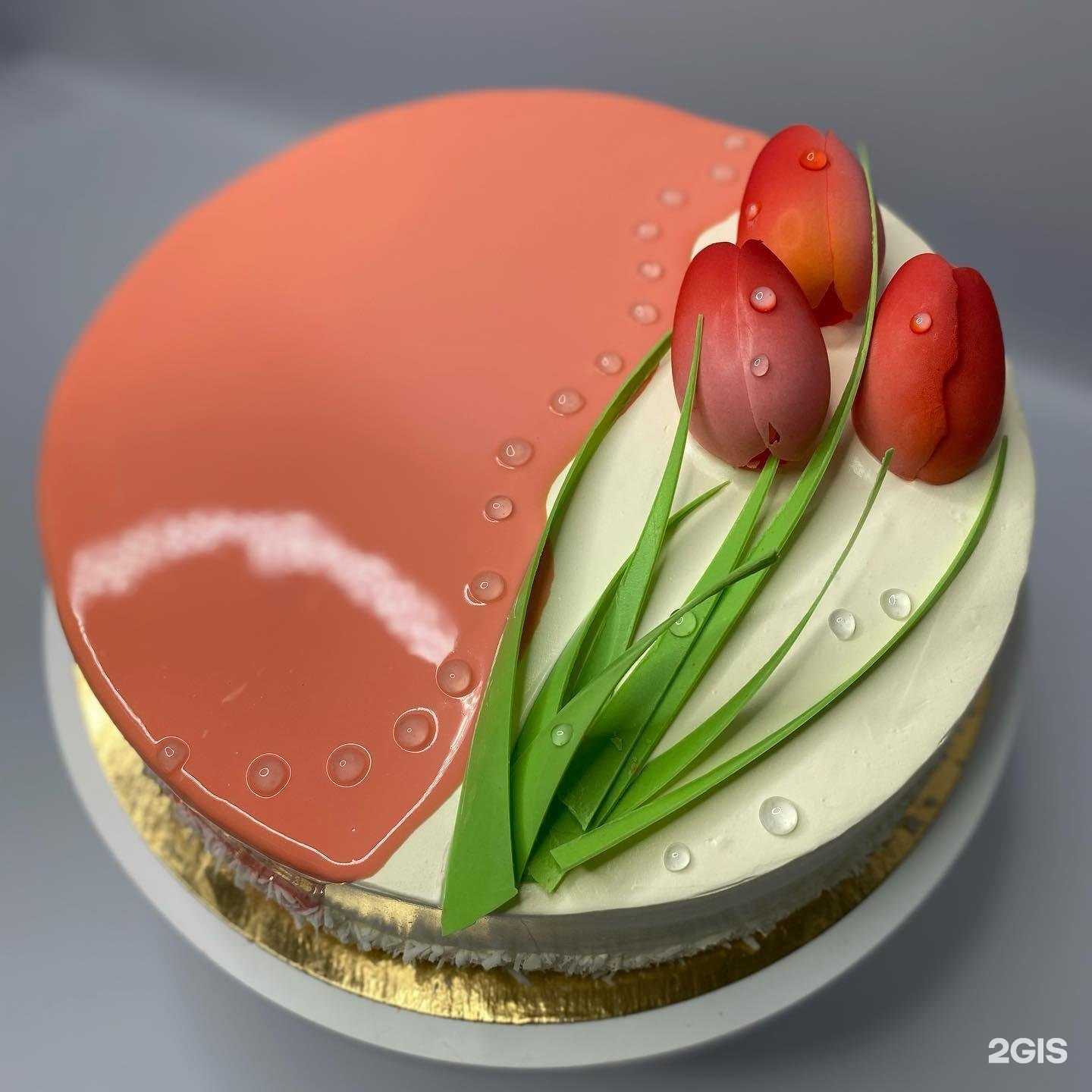 Отзывы на компанию Даханаго в Ставрополе c фото