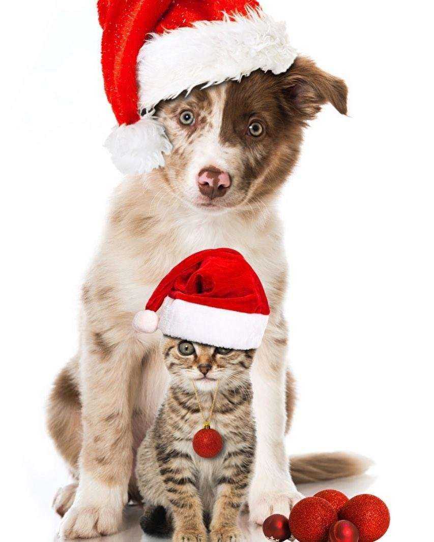 Отзывы на компанию Велес в Гурьевске c фото