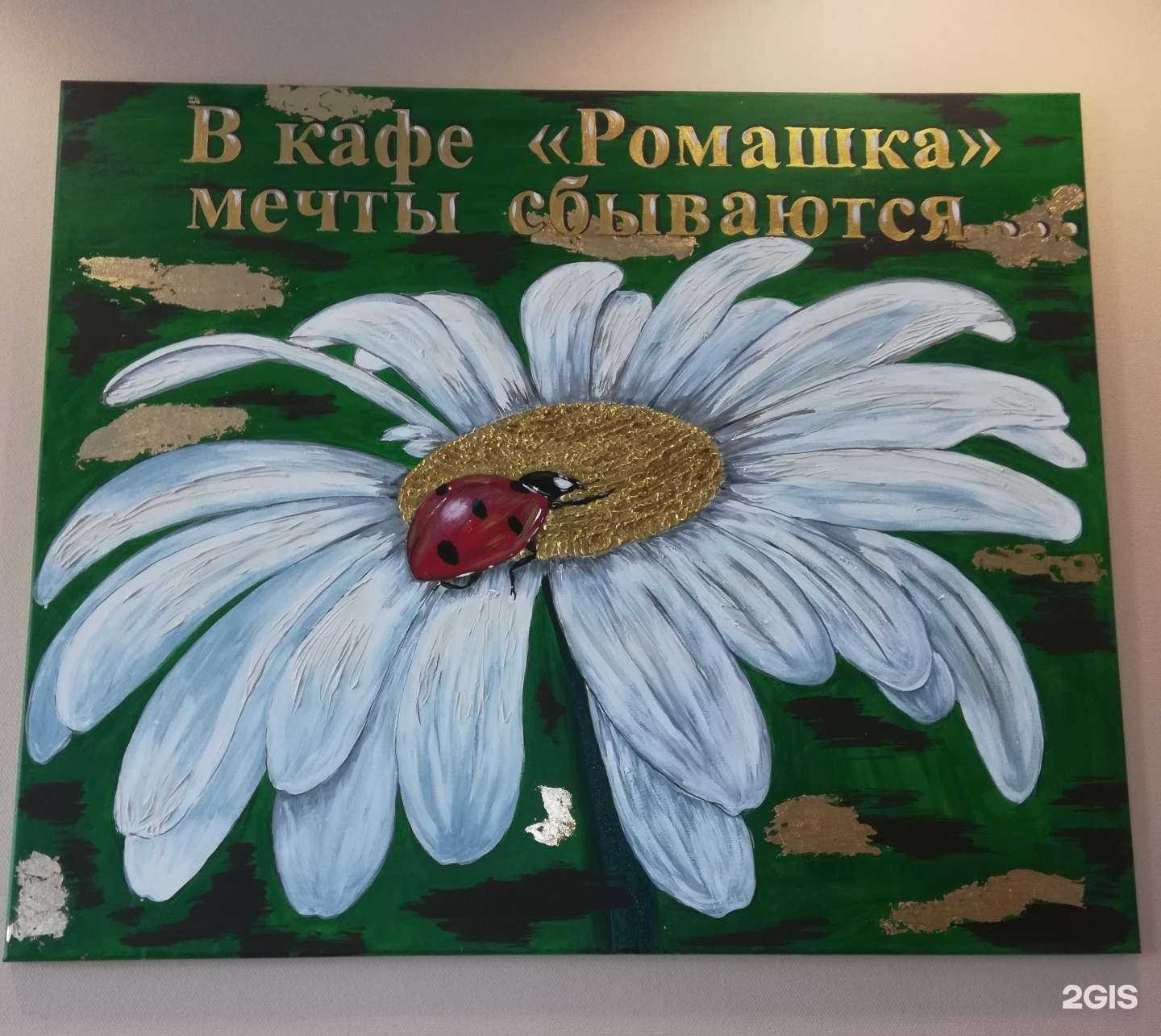 Отзывы на компанию Ромашка в Новосибирске c фото