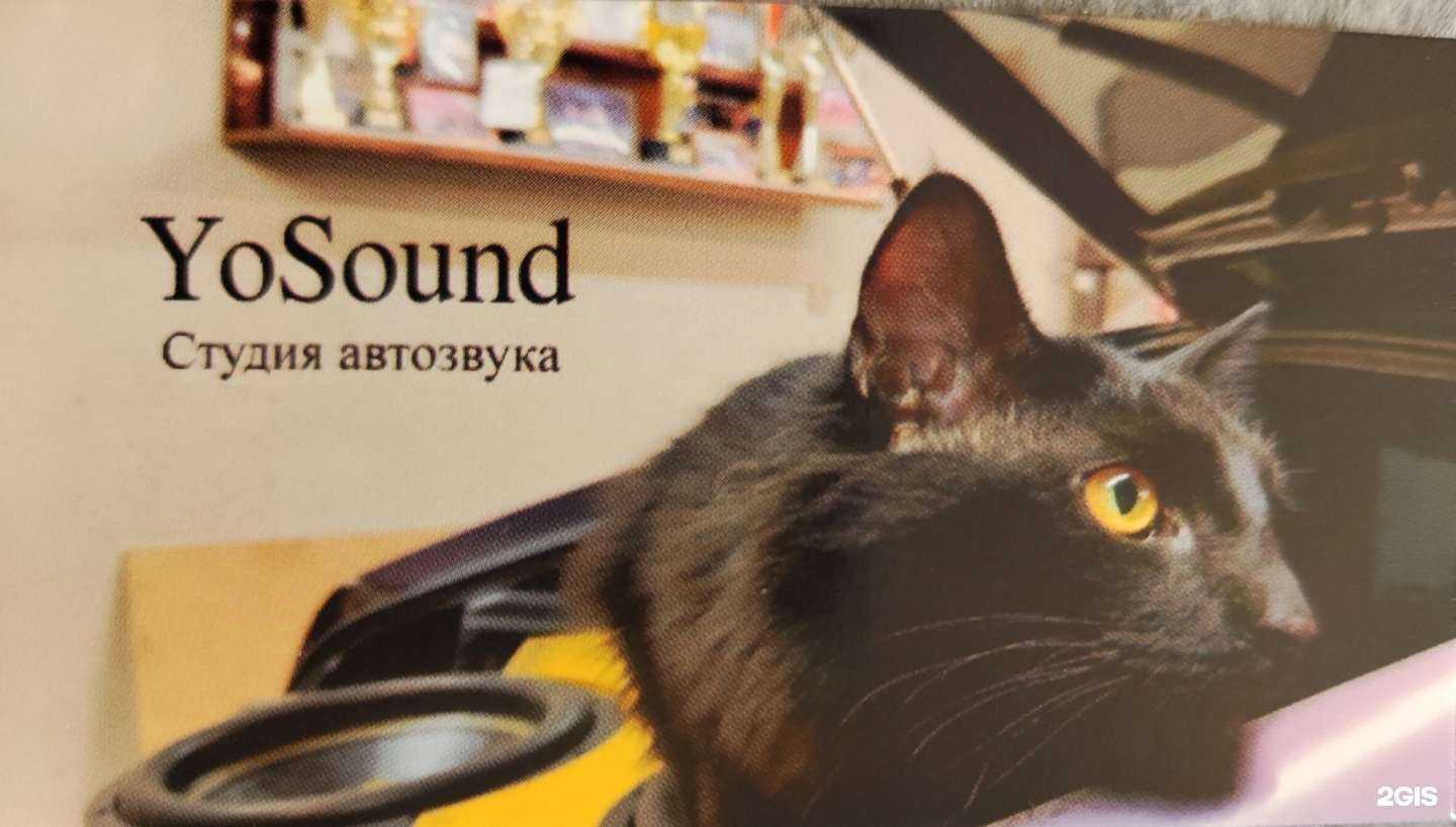 Отзывы на компанию YoSound в г. Йошкар-Ола c фото