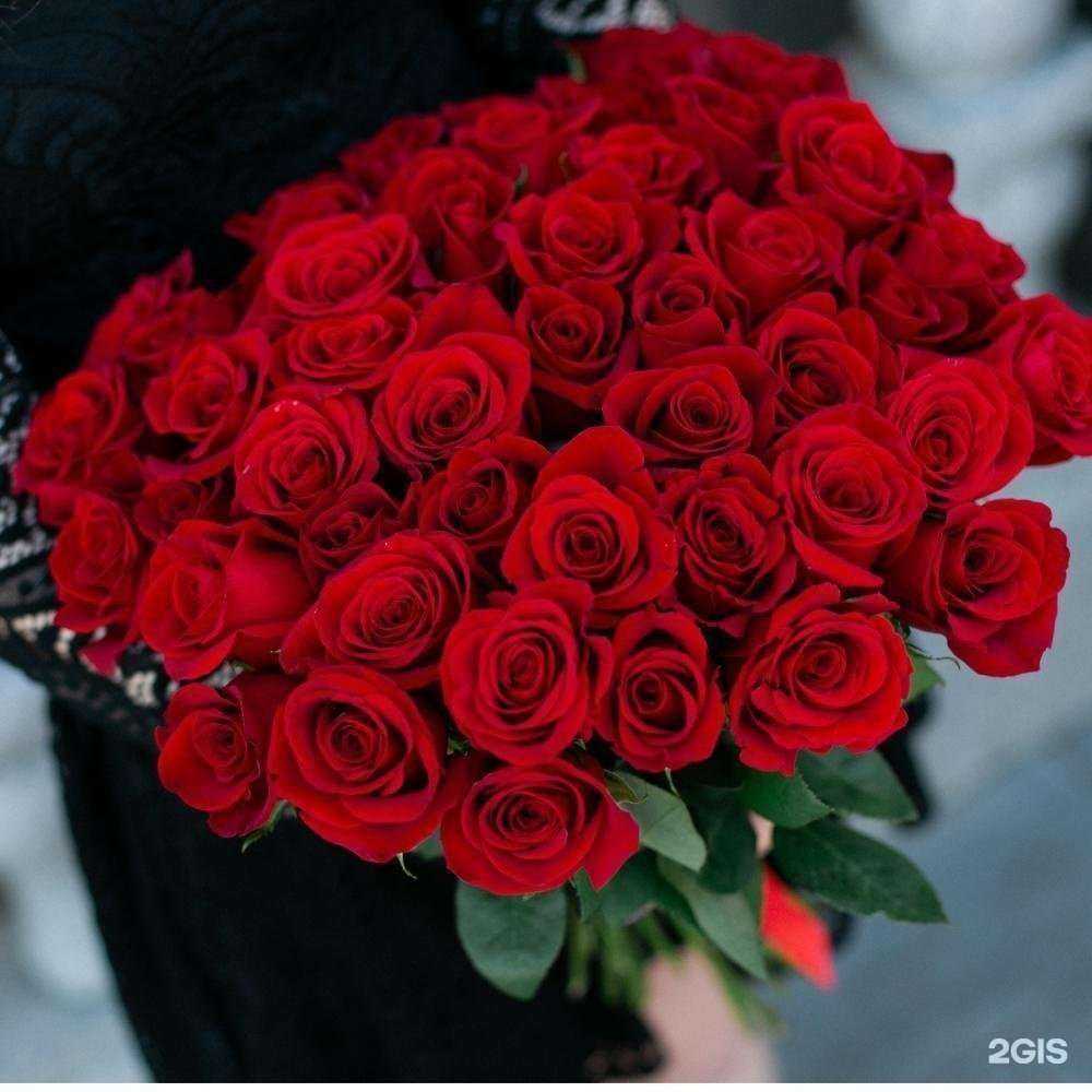 Отзывы на компанию Энергия в Череповце c фото