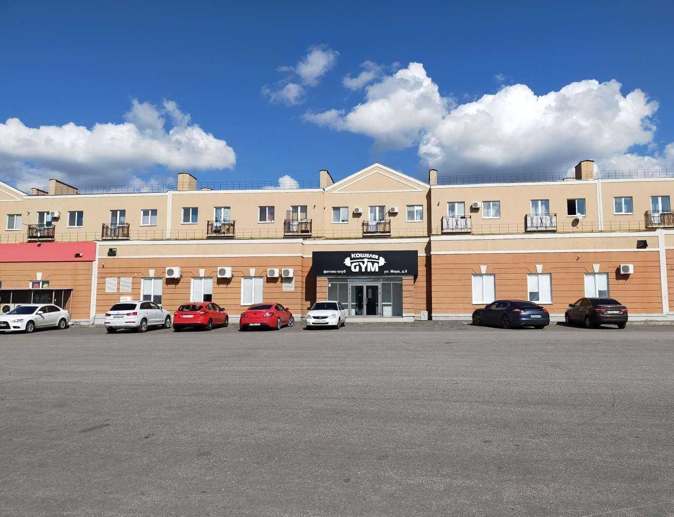 Отзывы на компанию Кошелев gym в Самаре c фото - фотография 2 из 2