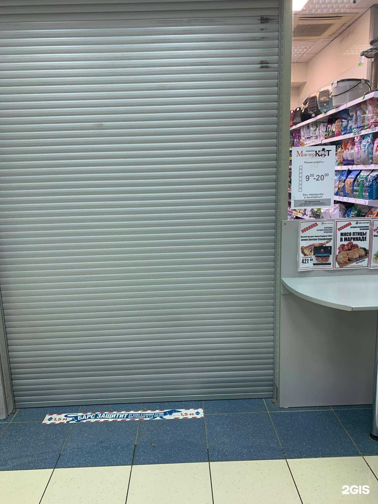 Отзывы на компанию Мистер Кот в Воронеже c фото