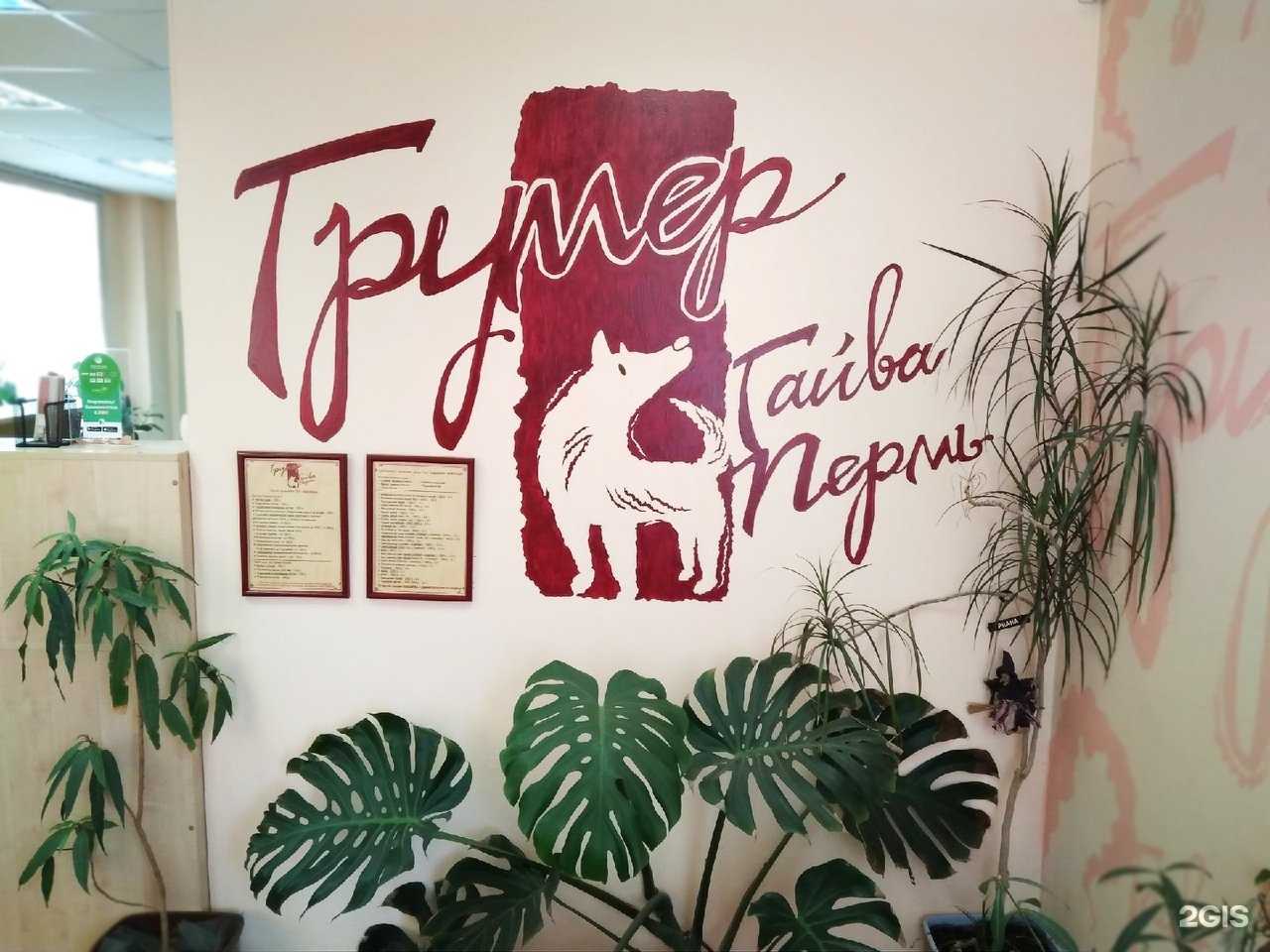 Отзывы на компанию Салон для животных в г. Пермь c фото