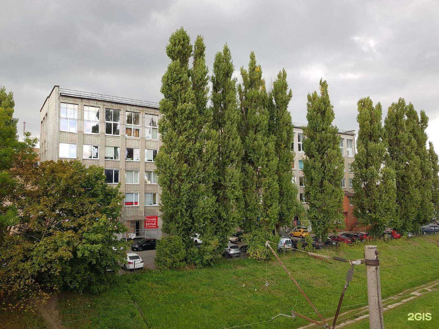 Отзывы на компанию Молоко и Пчёлы | MilkandBees в Калининграде c фото - фотография 2 из 2