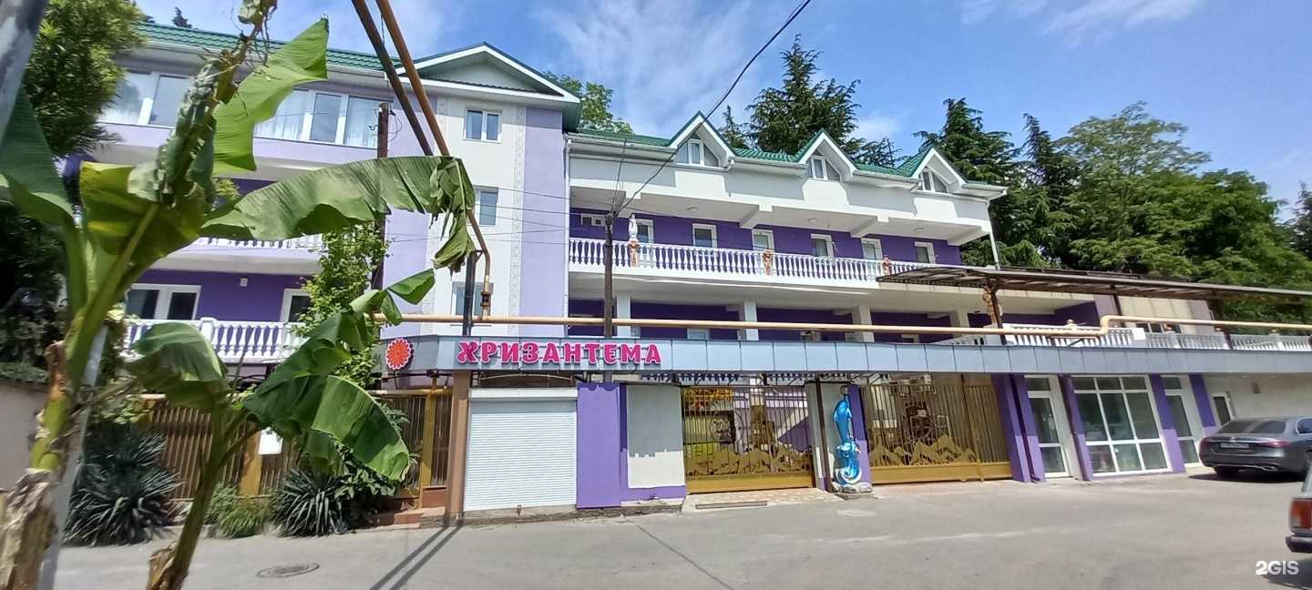 Отзывы на компанию Хризантема в Сочи c фото - фотография 2 из 2