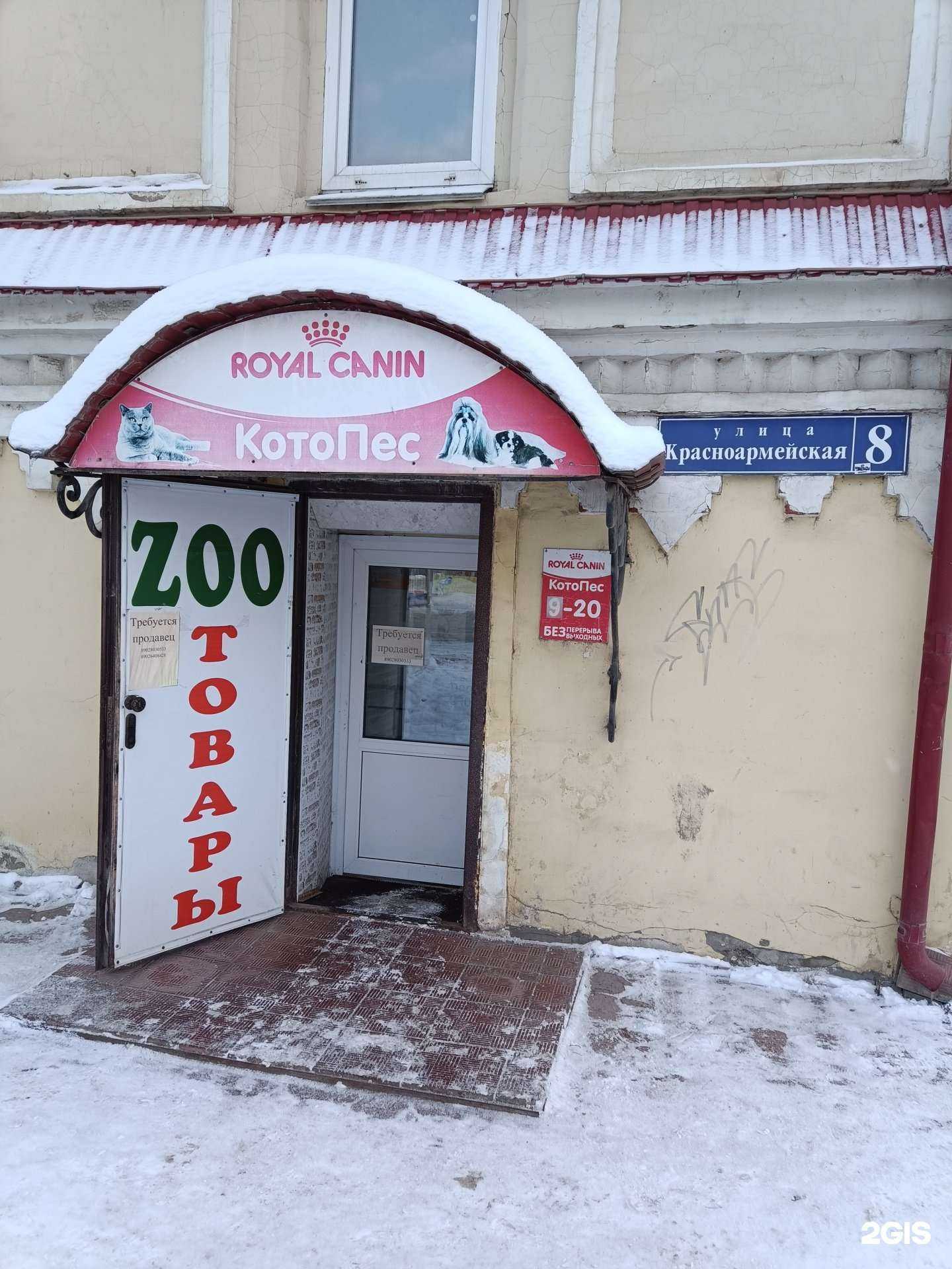 Отзывы на компанию КотоПёс в Кунгуре c фото