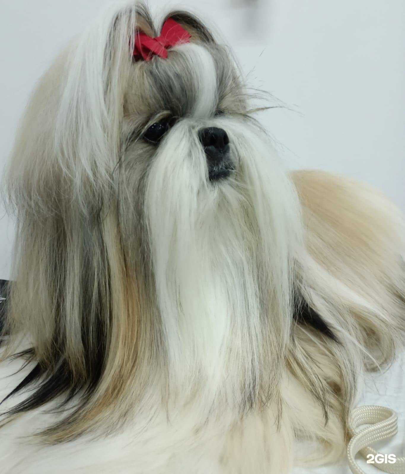 Отзывы на компанию Мультик в г. Анапа c фото