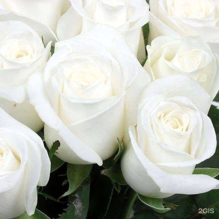 Отзывы на компанию Торговая точка цветов и шаров в Кургане c фото