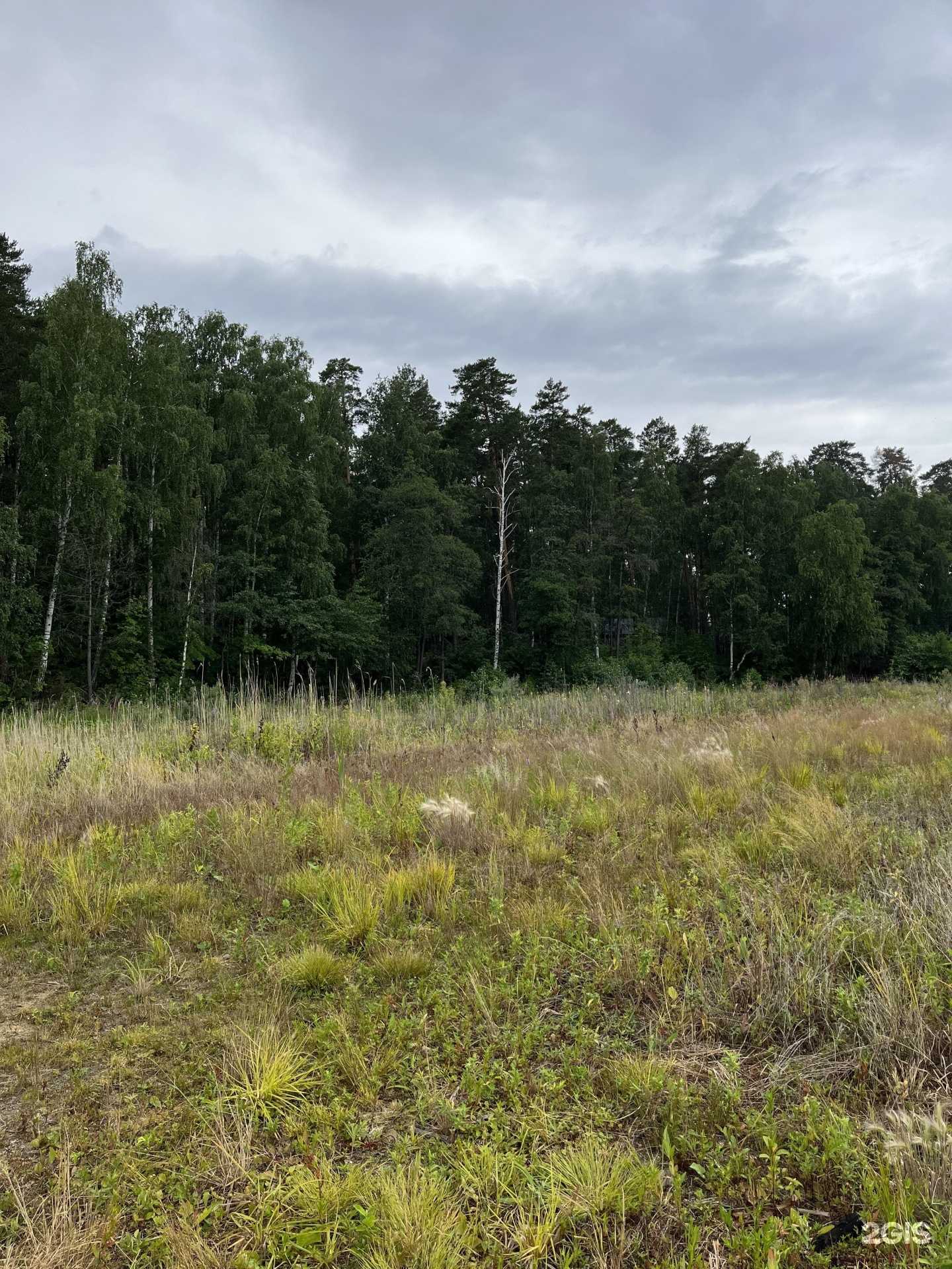 Отзывы на компанию Сосенка в г. Чебаркуль c фото