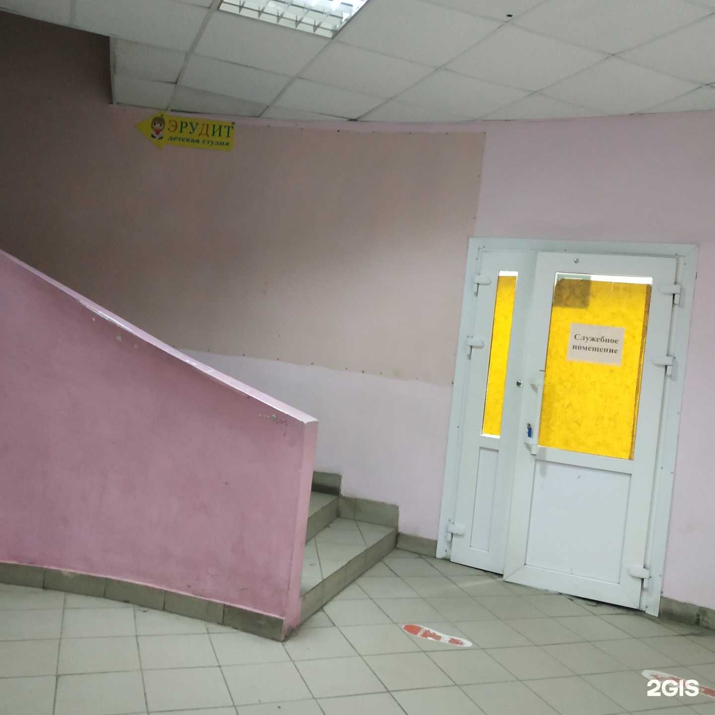 Отзывы на компанию Эрудит в Вологде c фото