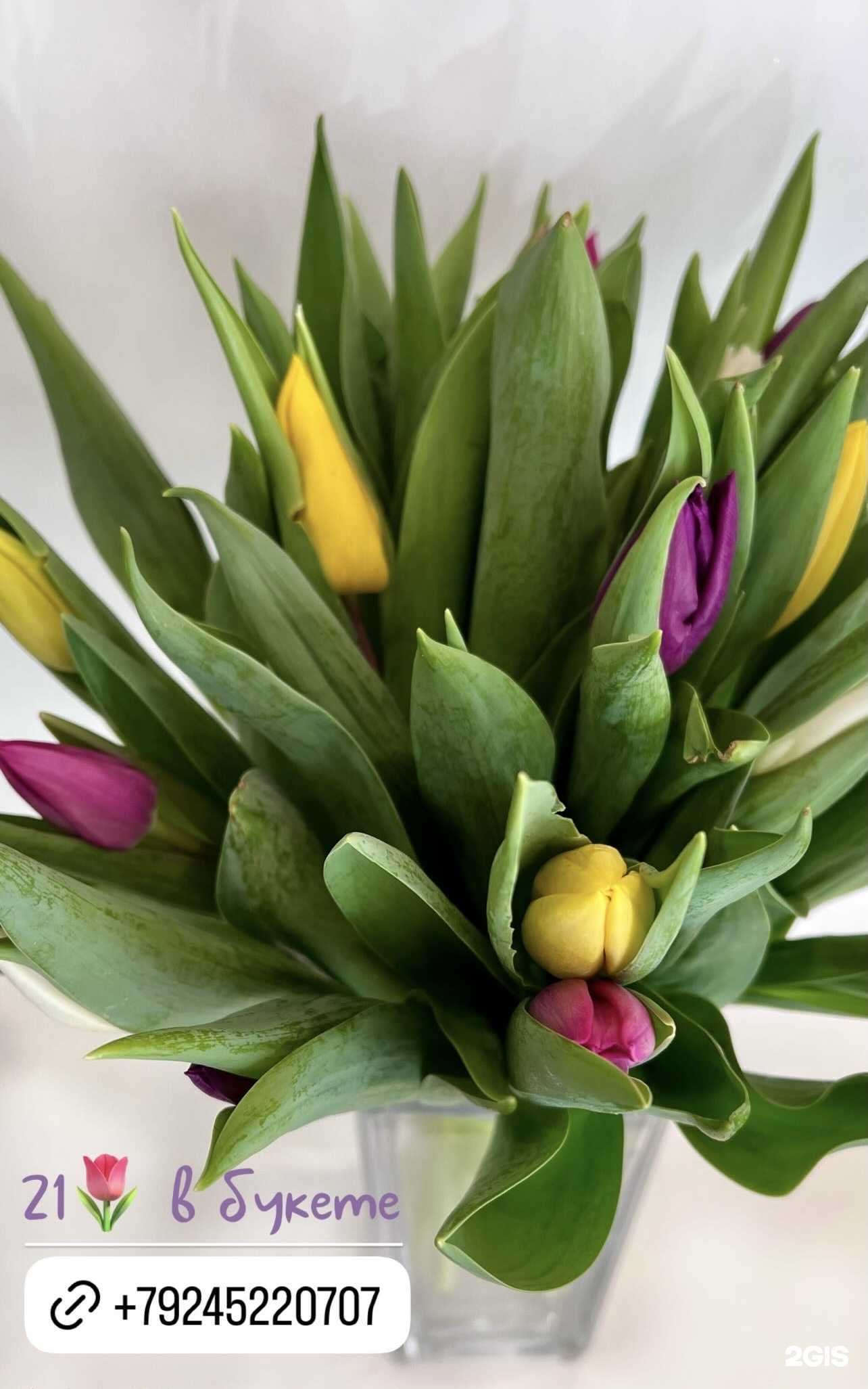 Отзывы на компанию Евро букет в г. Владивосток c фото