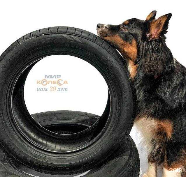 Отзывы на компанию Мир Колеса в Рязани c фото