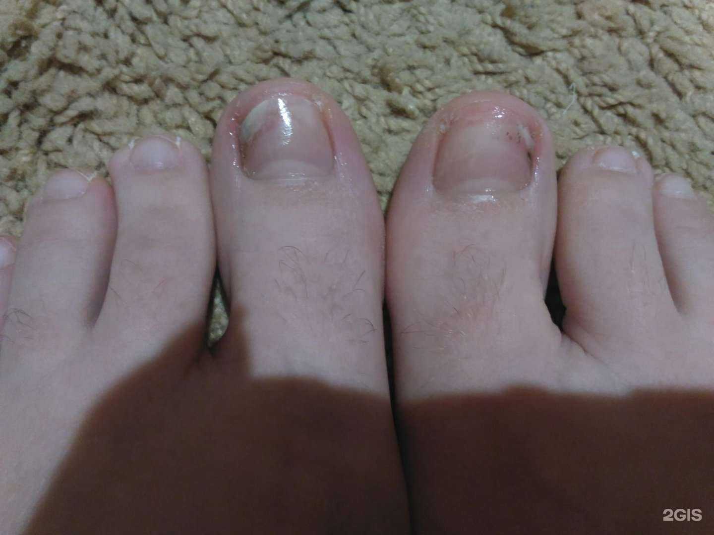 Отзывы на компанию Розовый Фламинго в г. Железногорск c фото