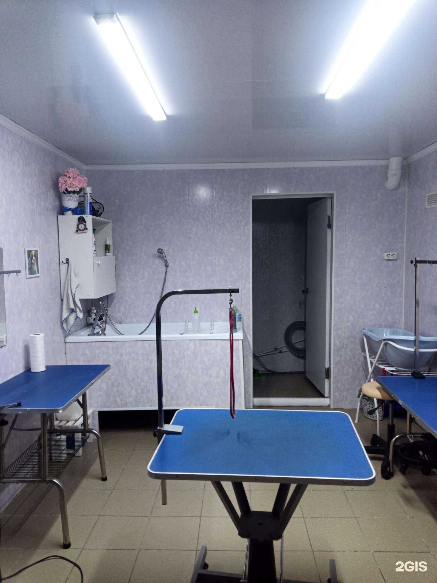 Отзывы на компанию Зоосалон в Долгопрудном c фото