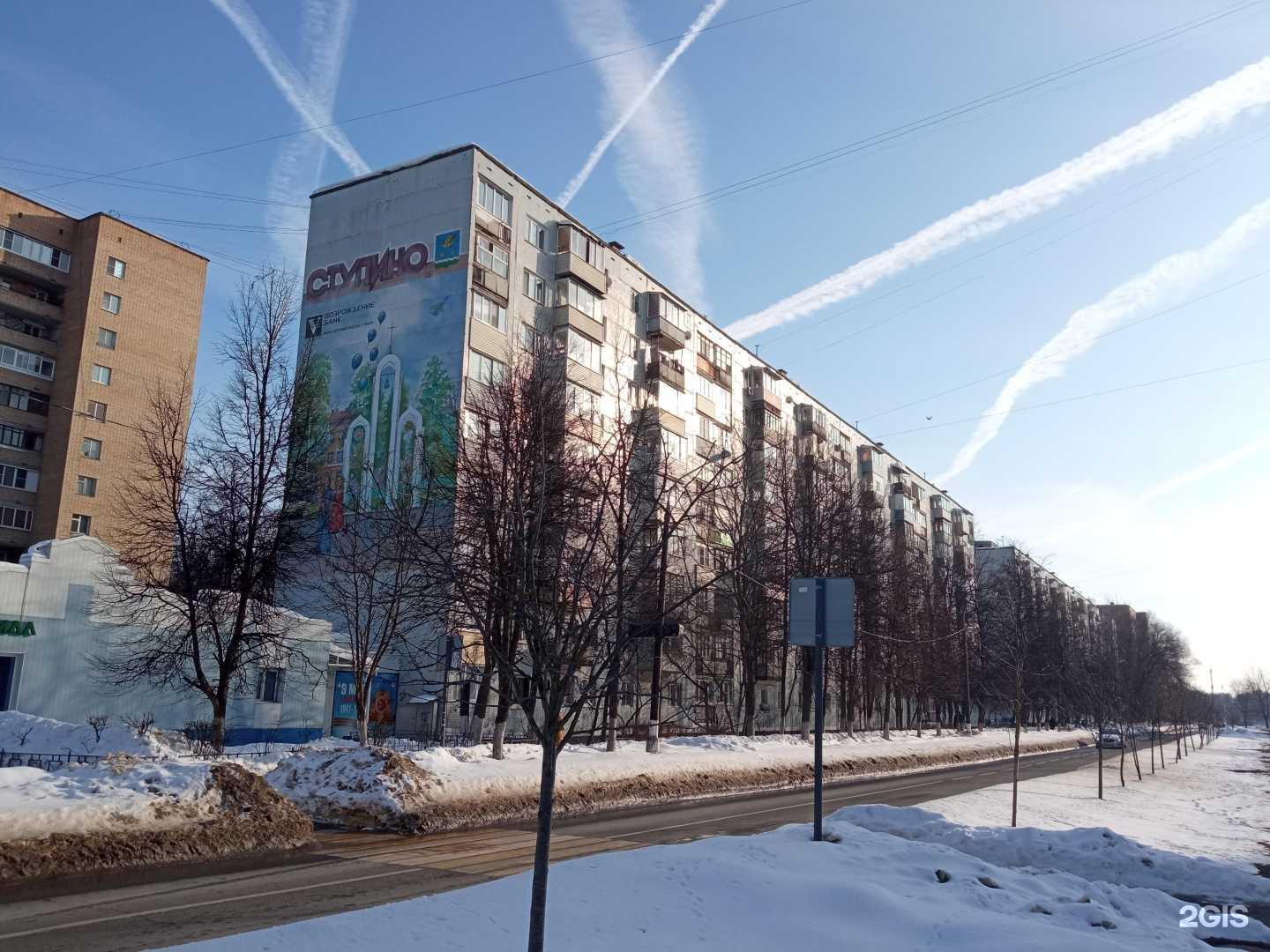 Отзывы на компанию Четыре лапы в Ступине c фото - фотография 2 из 2