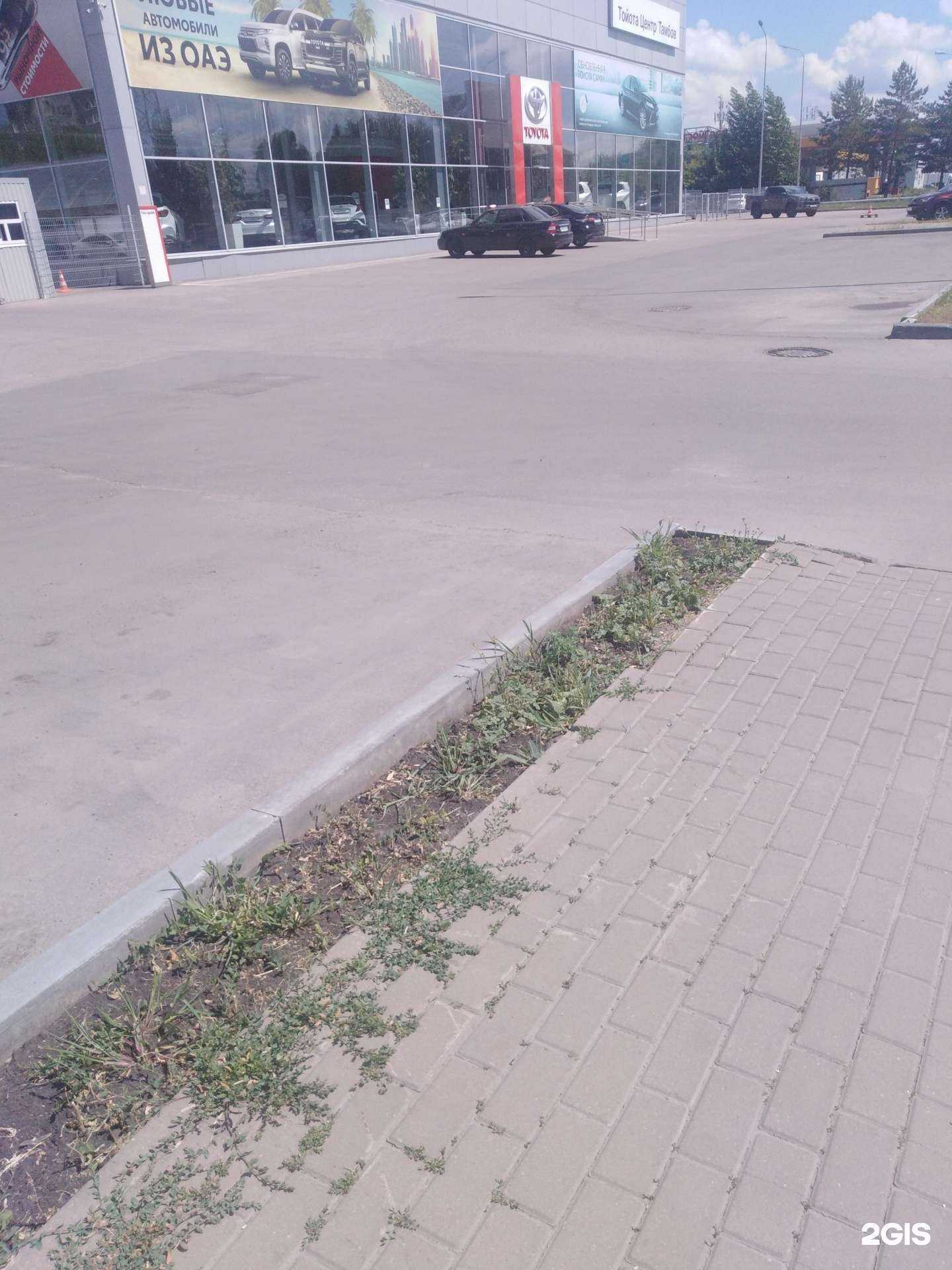 Отзывы на компанию Тойота Центр Тамбов в Тамбове c фото - фотография 2 из 2