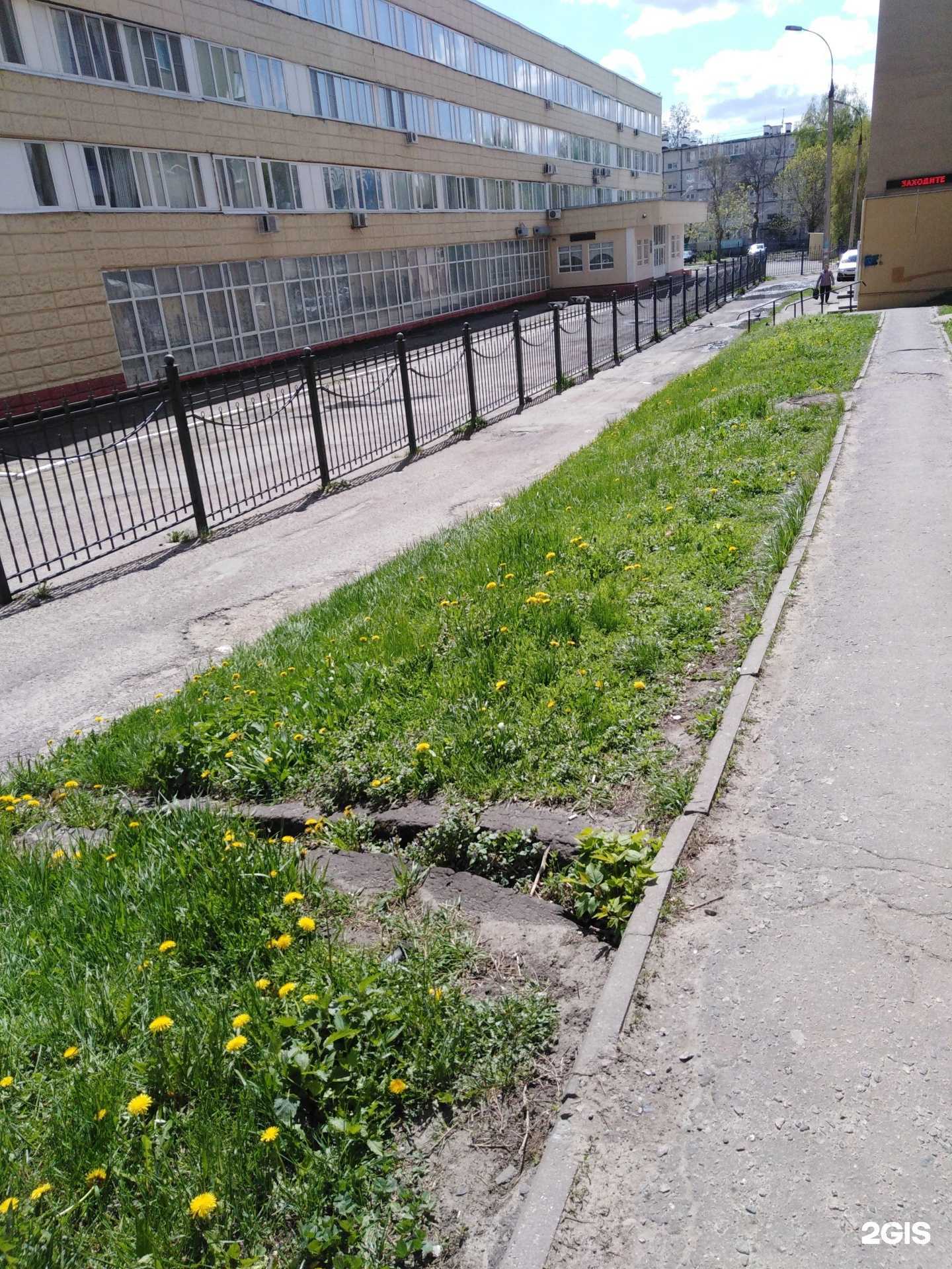 Отзывы на компанию Тамбовский государственный университет им. Г. Р. Державина в Тамбове c фото