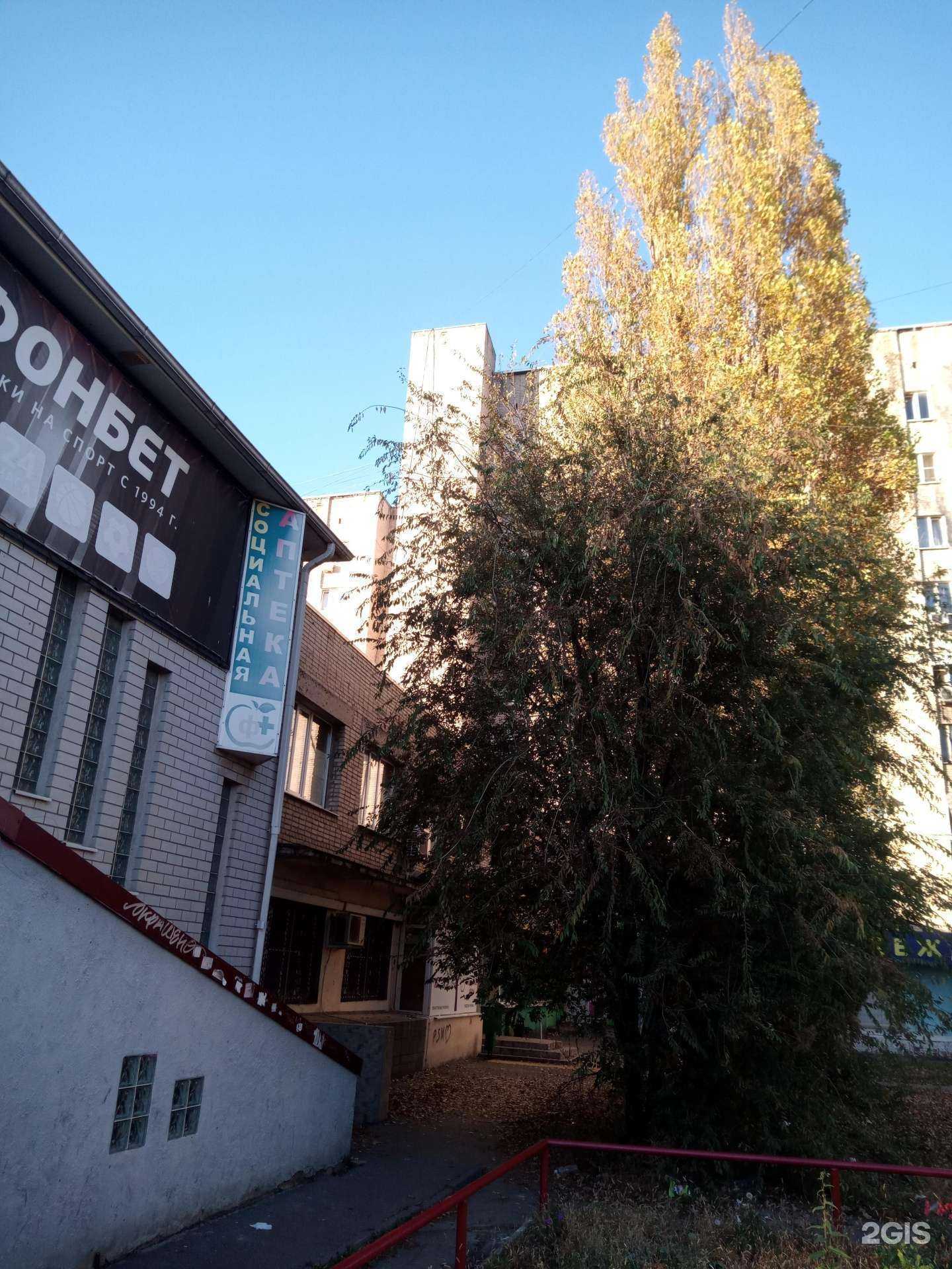 Отзывы на компанию Элит в Ростове-на-Дону c фото - фотография 2 из 2