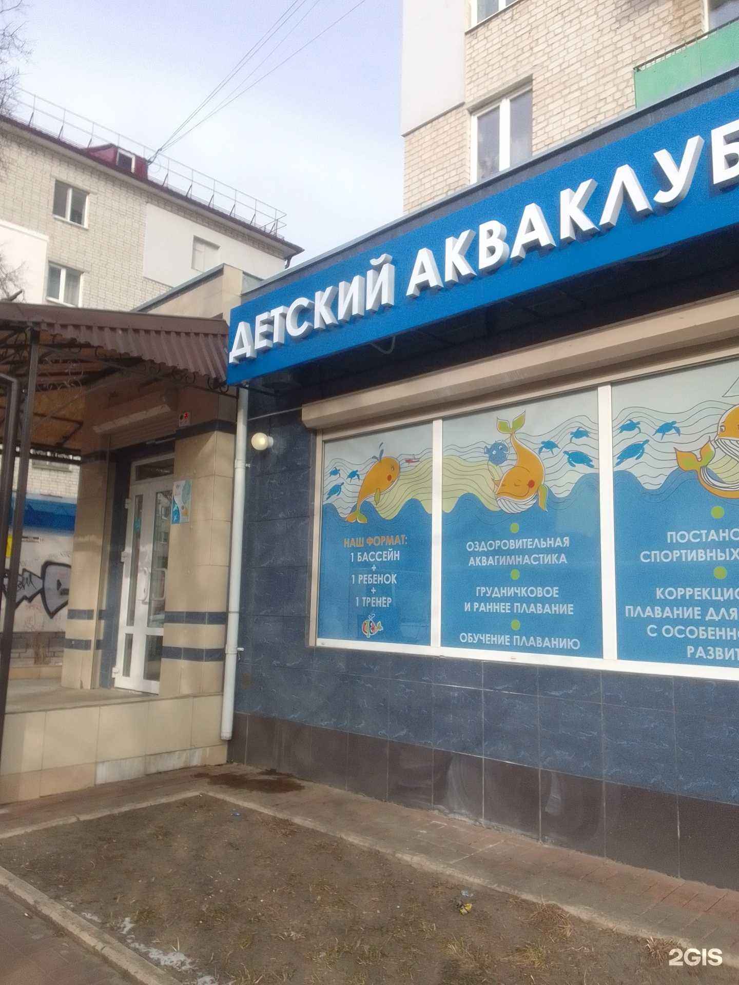 Отзывы на компанию Китёнок в Брянске c фото