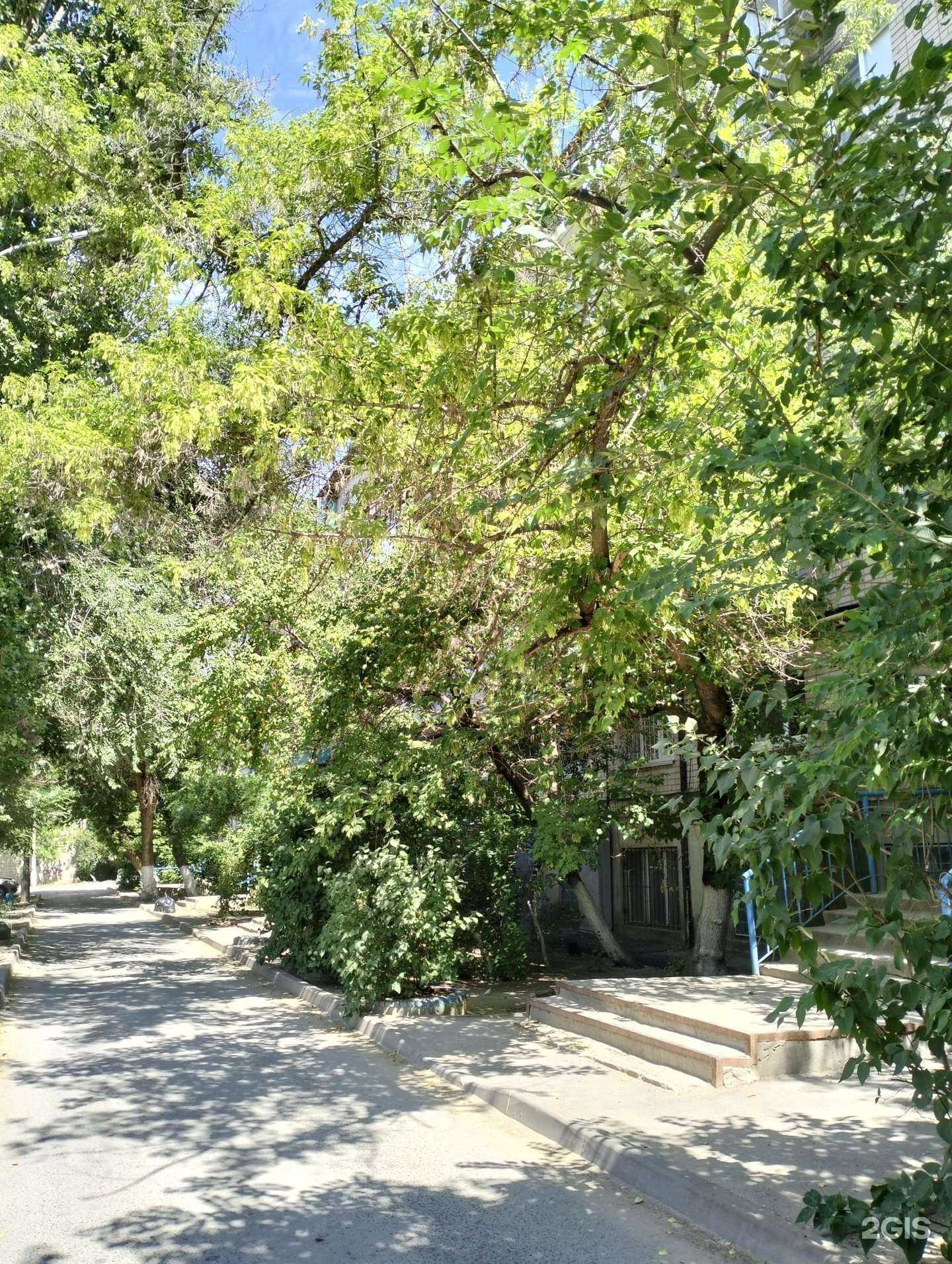 Отзывы на компанию Свежак в Волгограде c фото - фотография 2 из 2