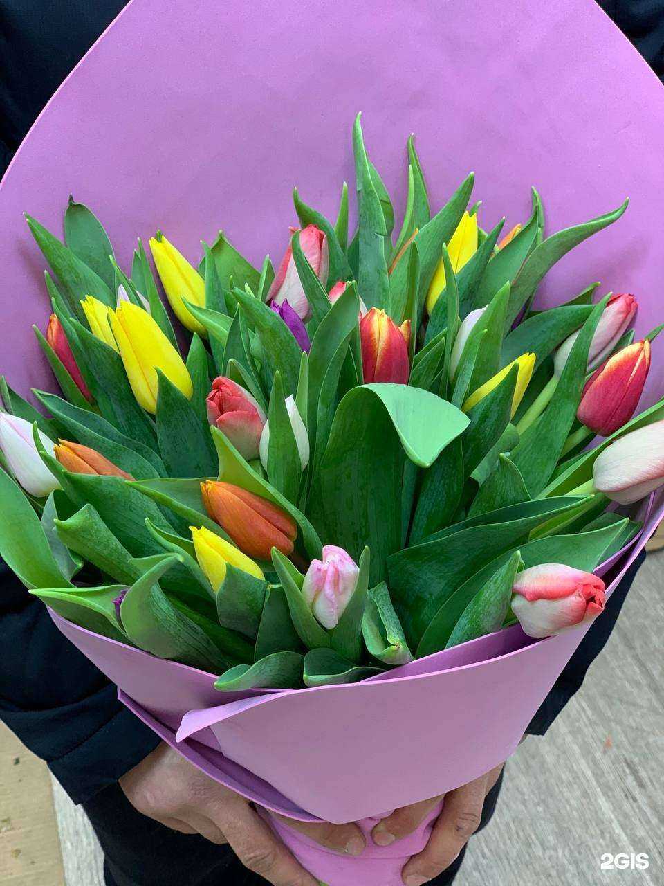 Отзывы на компанию Sara rose в Самаре c фото