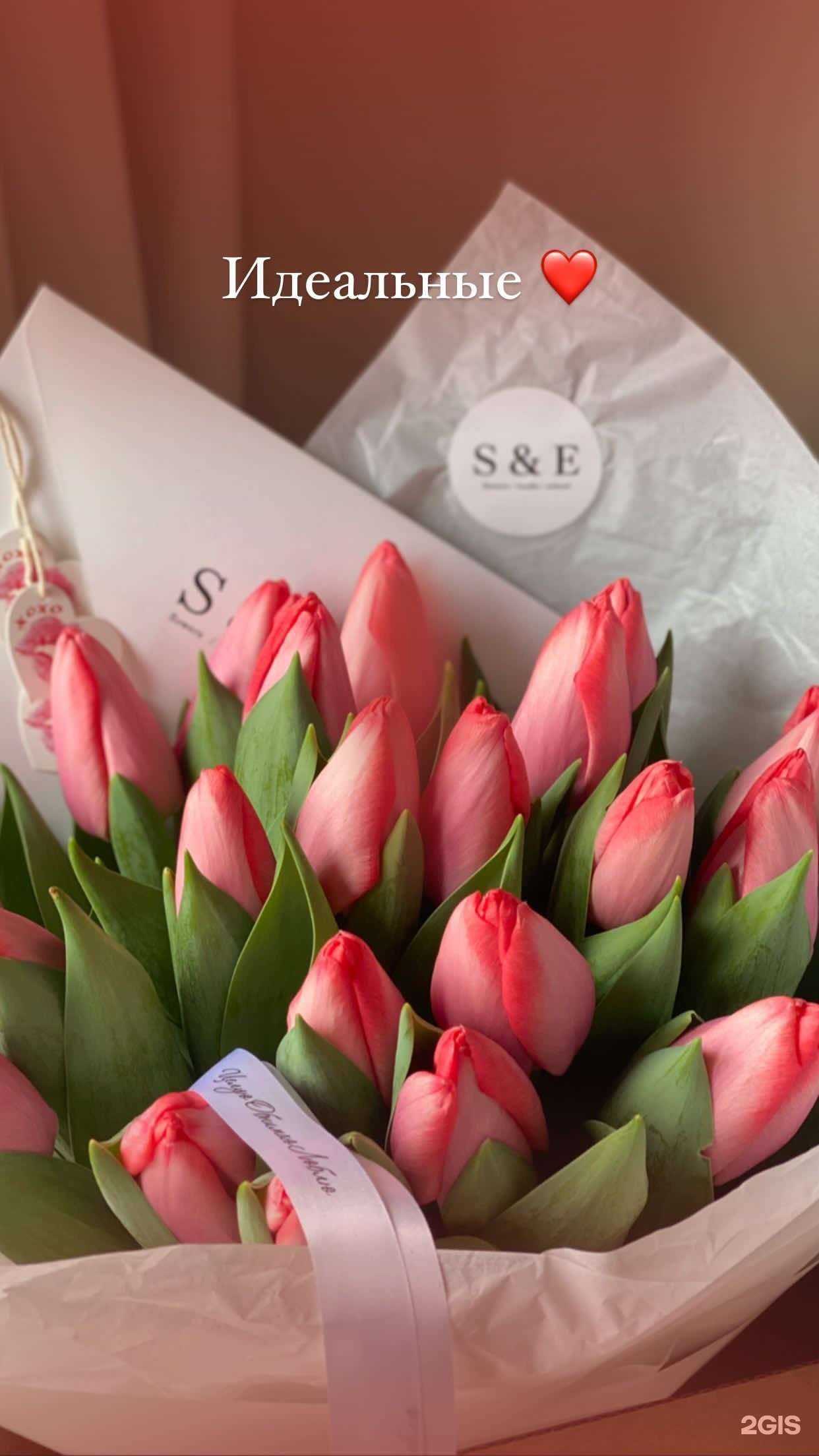 Отзывы на компанию Stephanie&Ester в г. Краснодар c фото