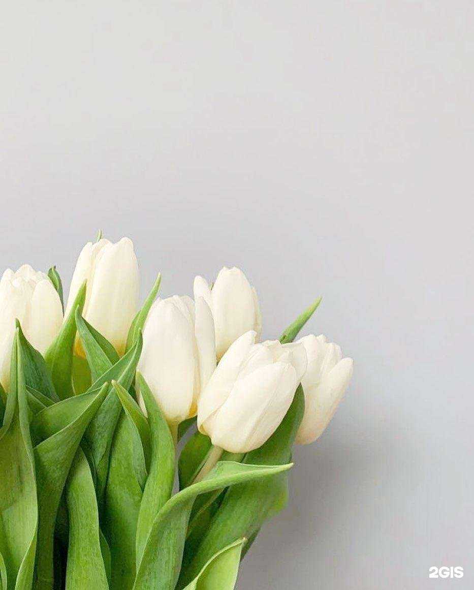 Отзывы на компанию Твоя аптека в г. Барнаул c фото