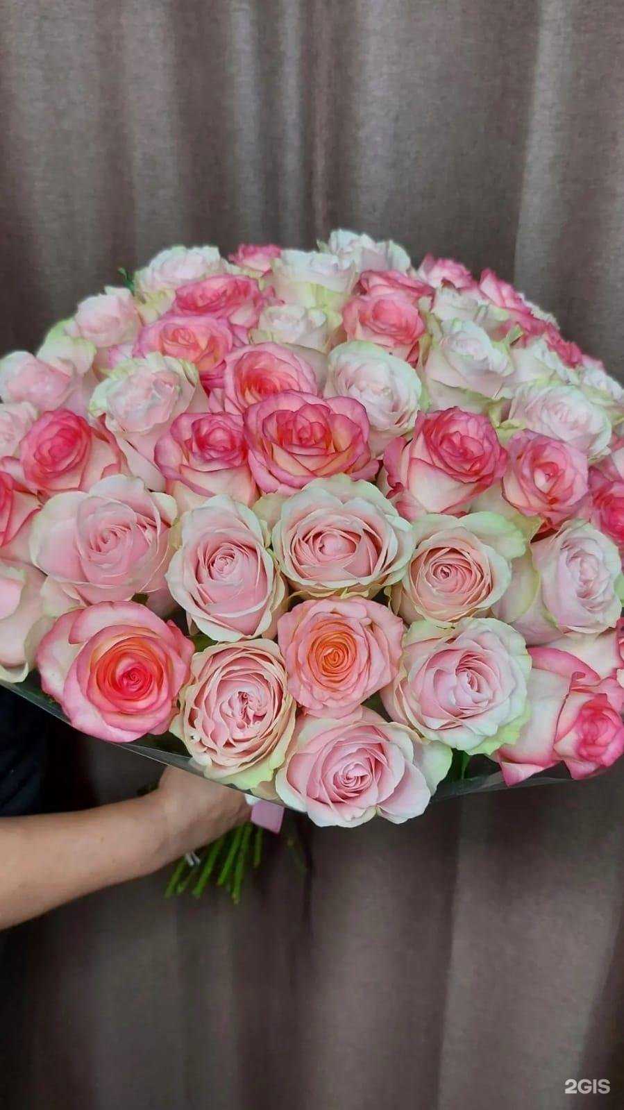 Отзывы на компанию Первоцвет в Барнауле c фото