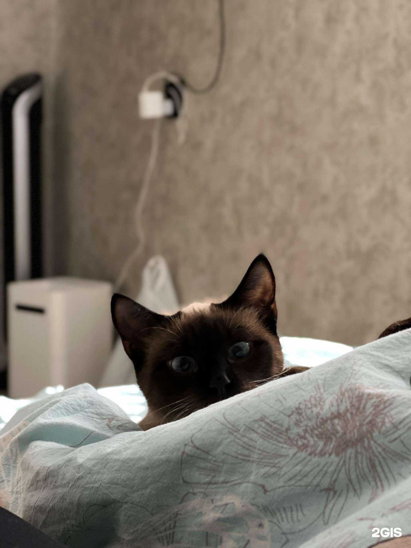 Отзывы на компанию МедветОмск в г. Омск c фото