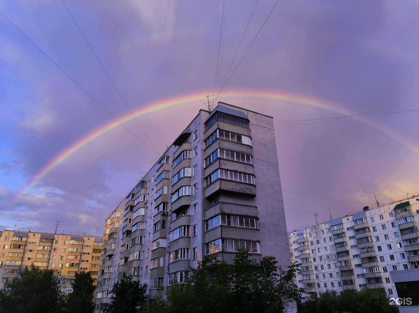 Отзывы на компанию Иззи Грум в Новосибирске c фото - фотография 2 из 2