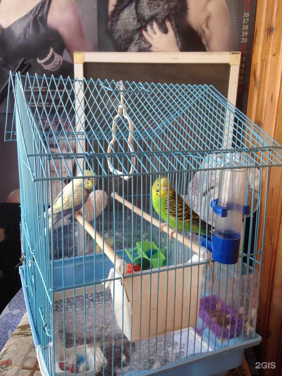 Отзывы на компанию Живая вода в Сургуте c фото - фотография 2 из 2