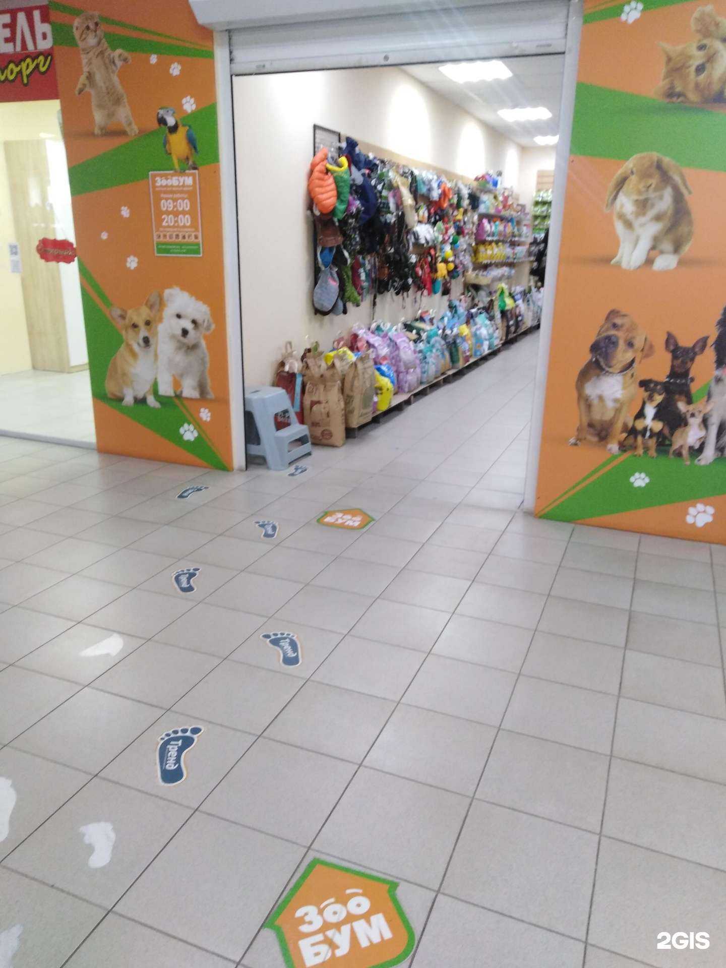 Отзывы на компанию Зоо бум в Тамбове c фото