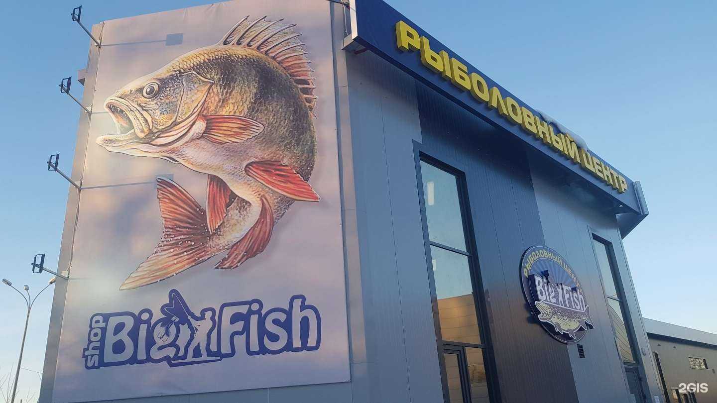 Отзывы на компанию Big fish в Екатеринбурге c фото