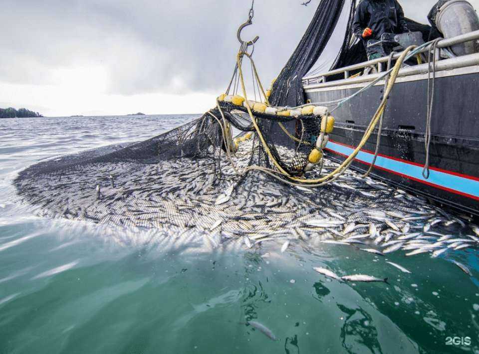 Отзывы на компанию Беломорский рыбак в Мурманске c фото