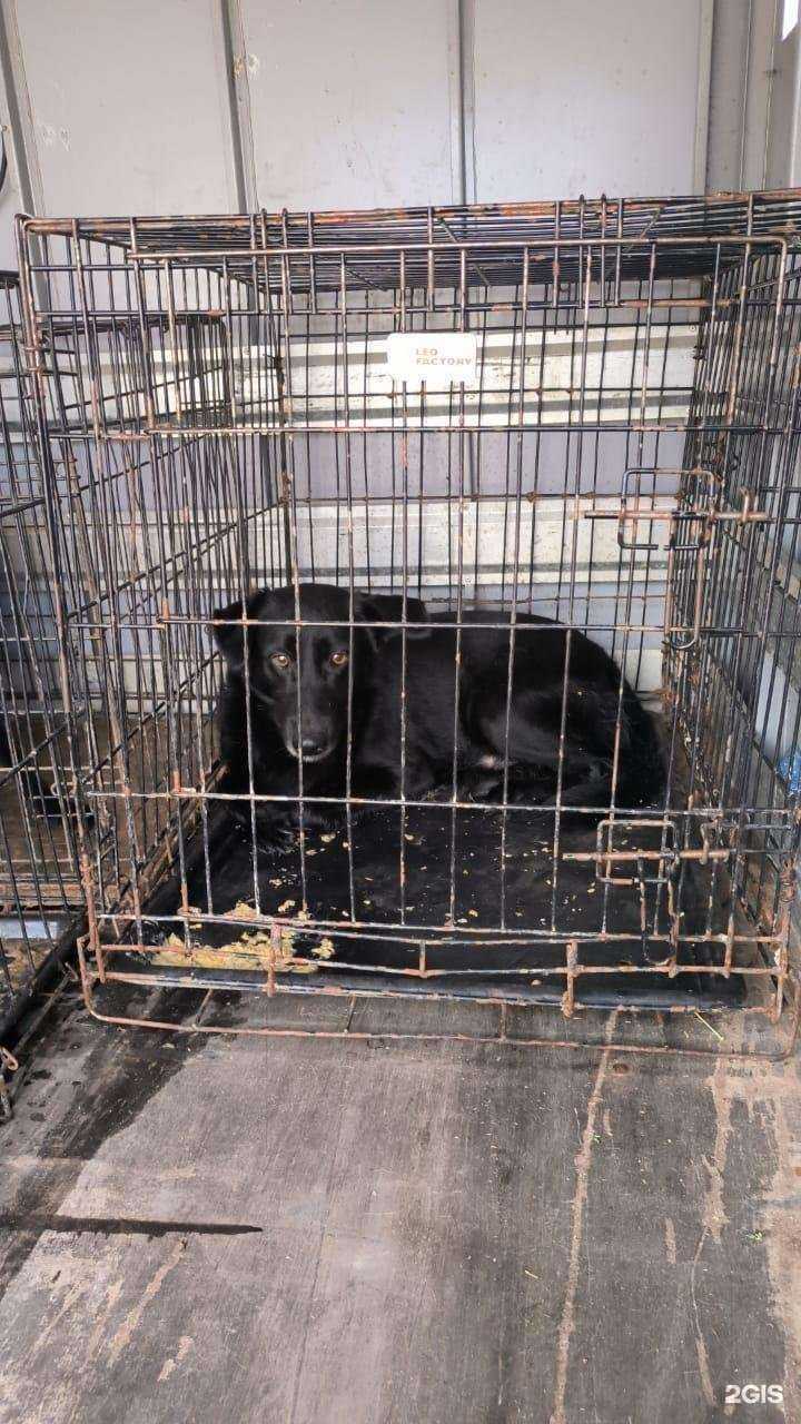 Отзывы на компанию Зооцентр в г. Казань c фото