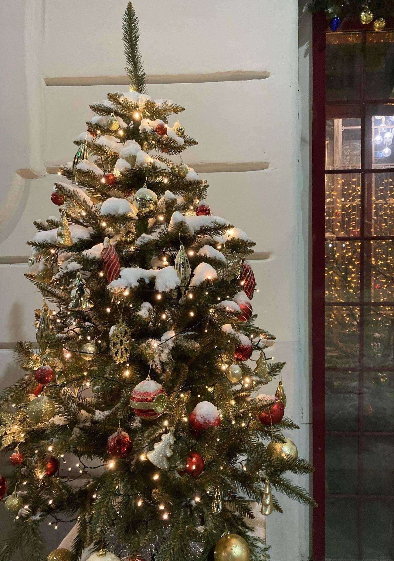 Отзывы на компанию Бакладжан в Нижнем Новгороде c фото - фотография 2 из 2