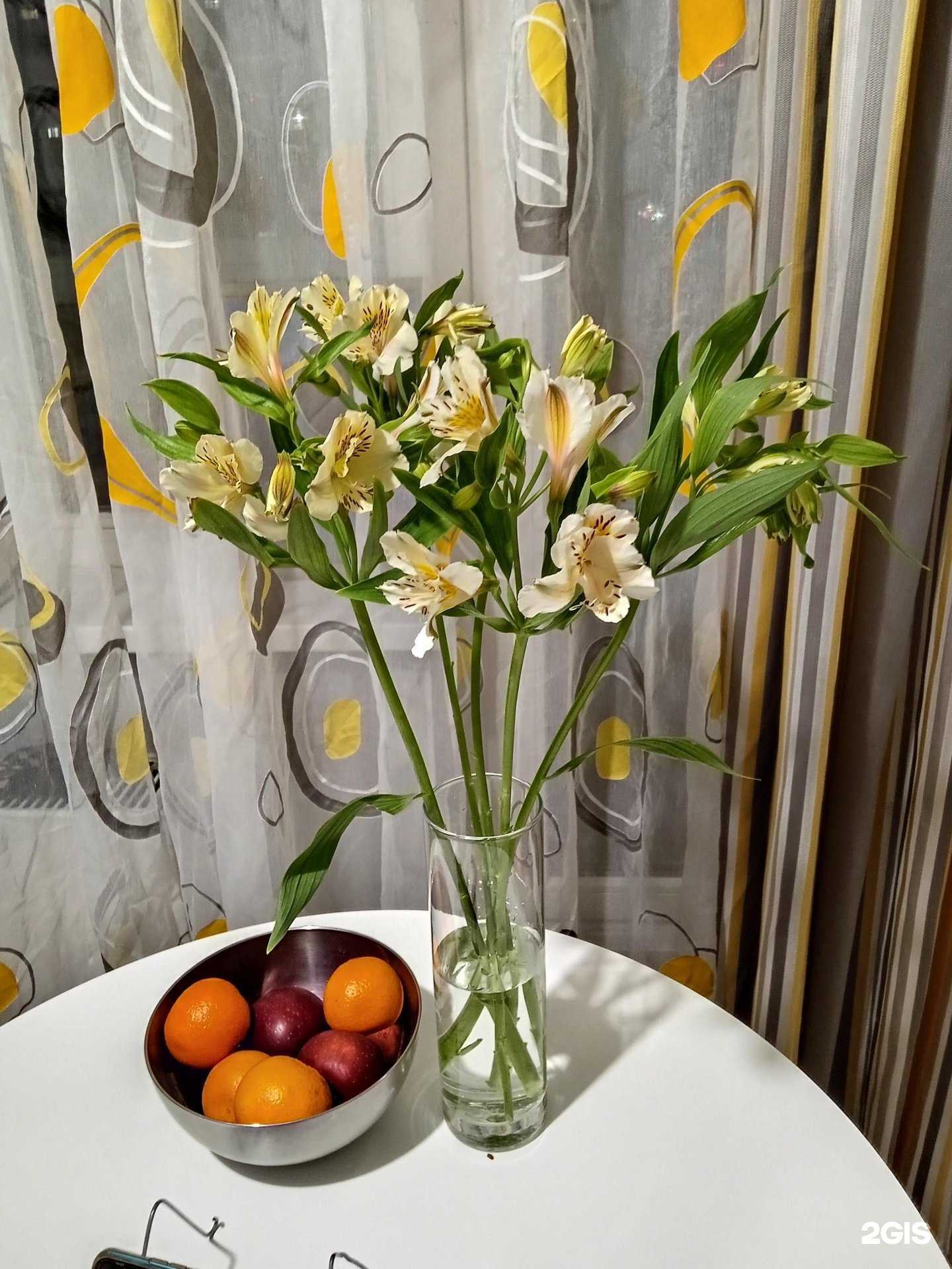 Отзывы на компанию Голландия в Тюмени c фото