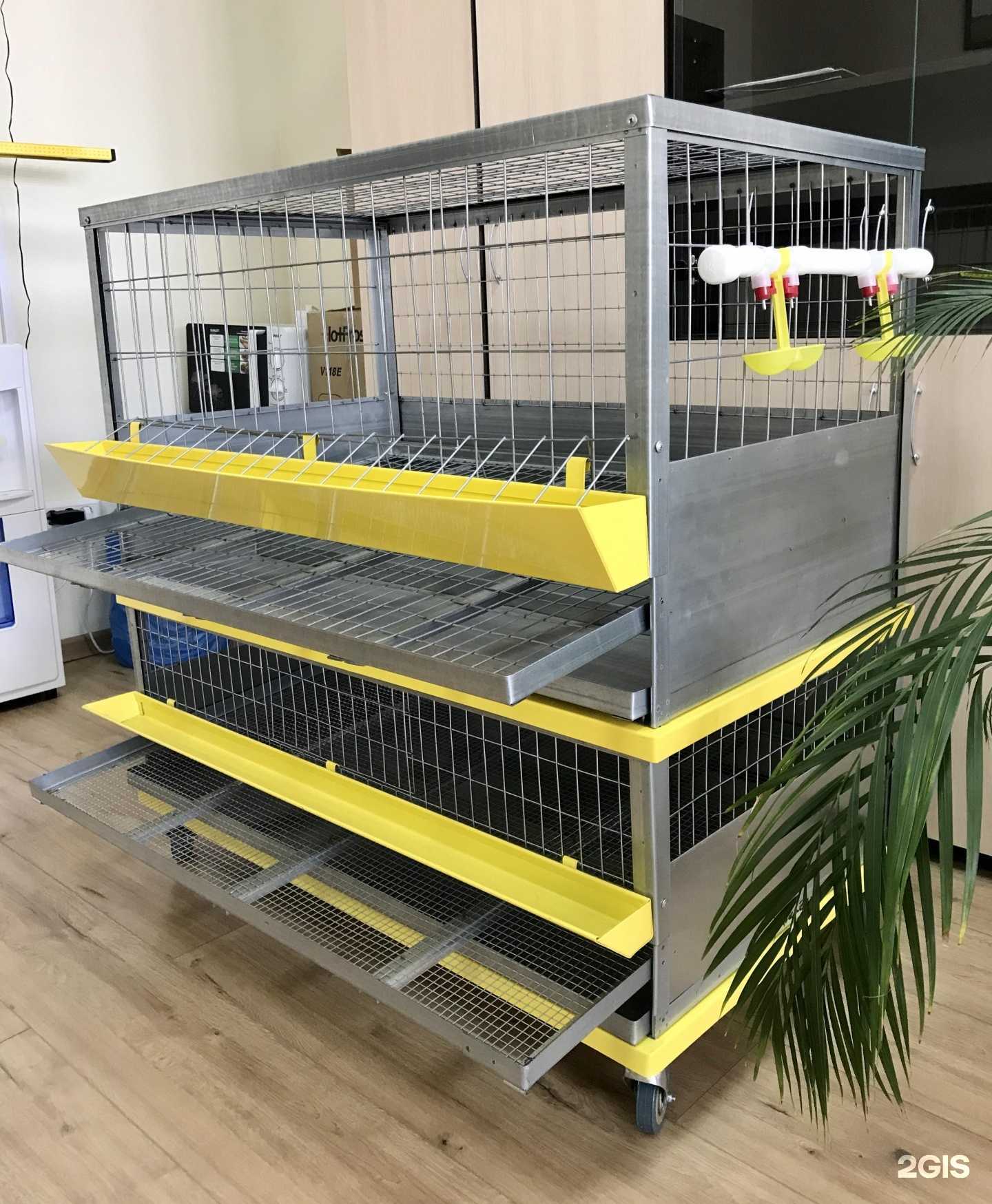 Отзывы на компанию prokletki.ru в Воронеже c фото