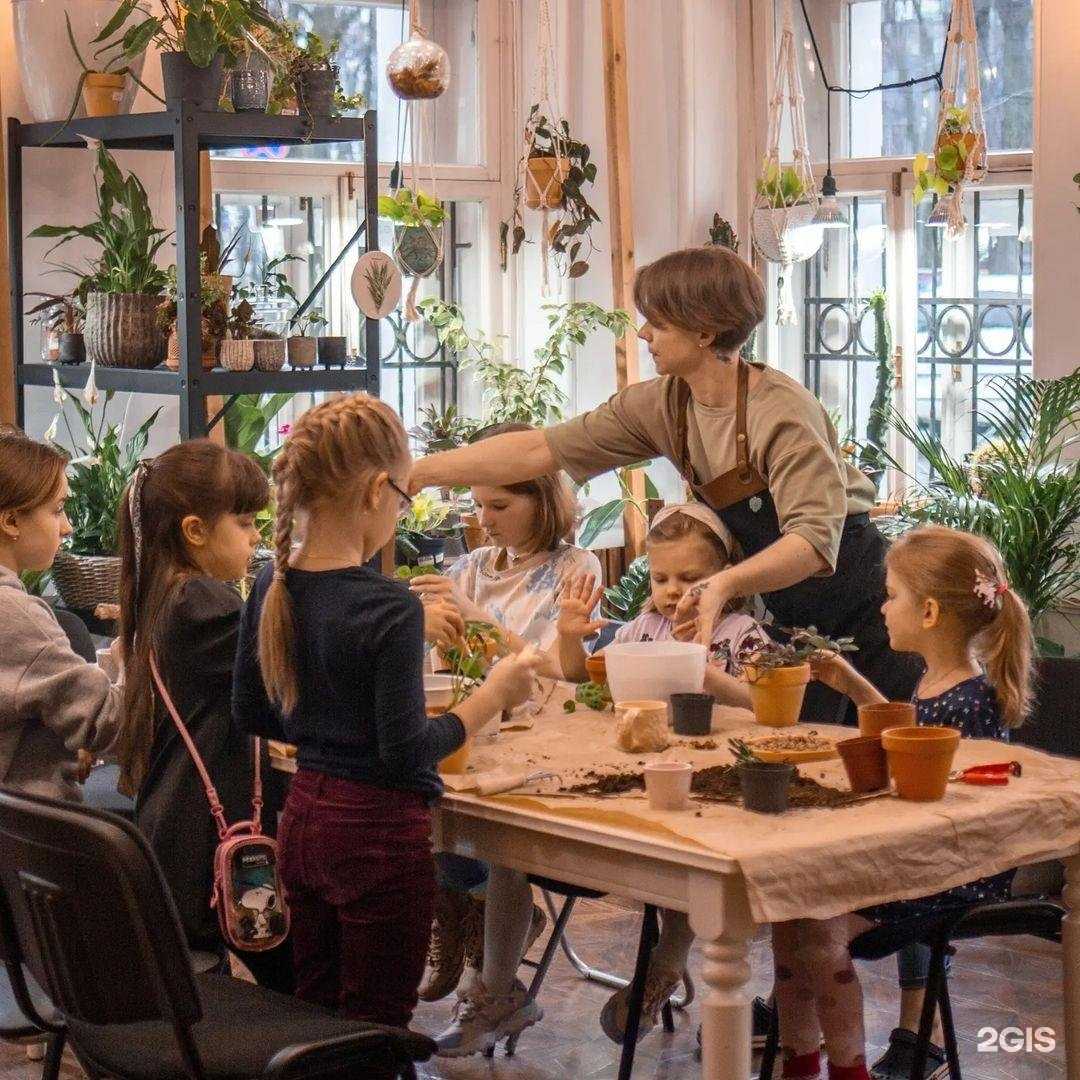 Отзывы на компанию The City Jungle в Ярославле c фото