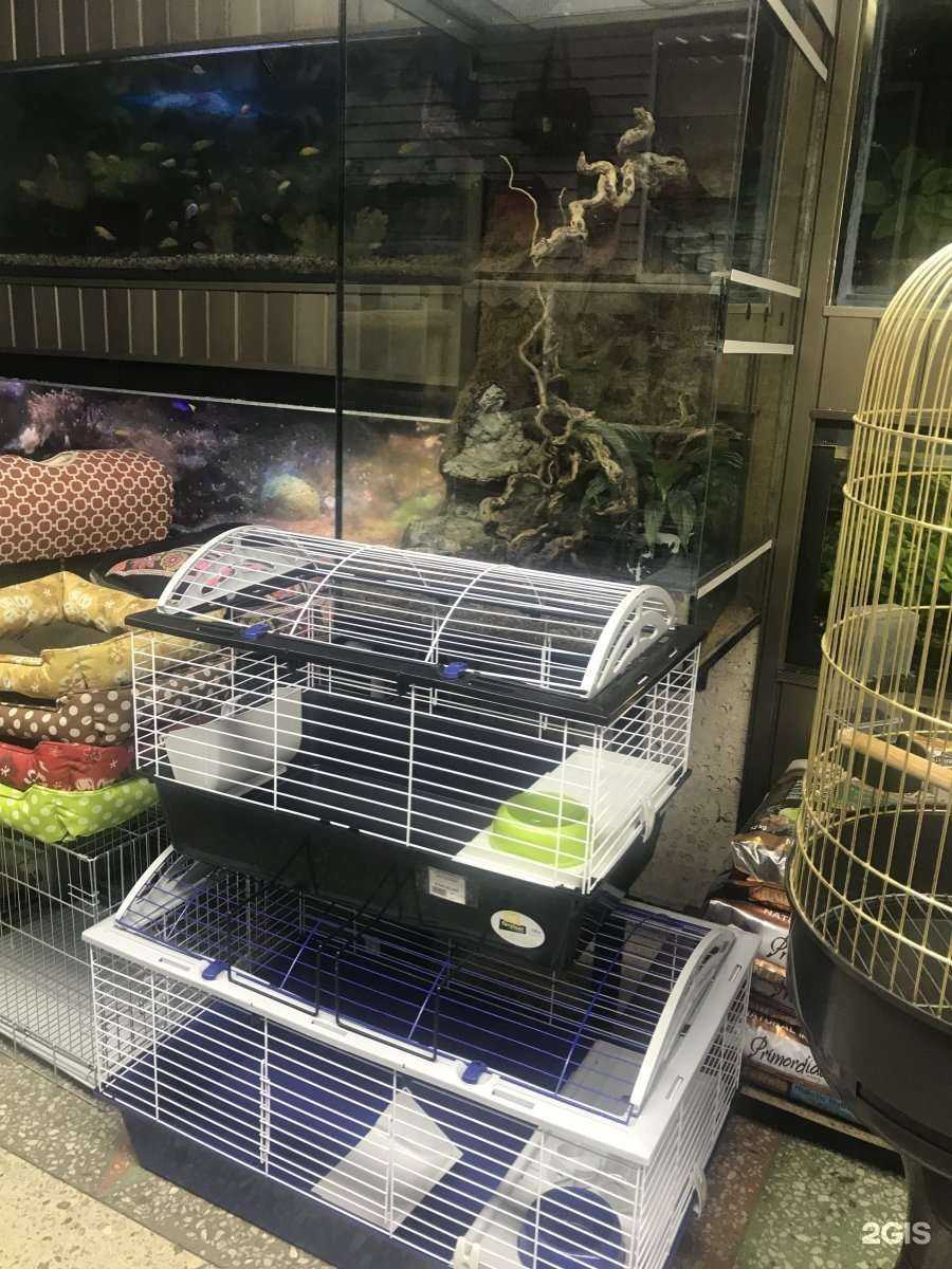 Отзывы на компанию Оранжевый жираф в Хабаровске c фото