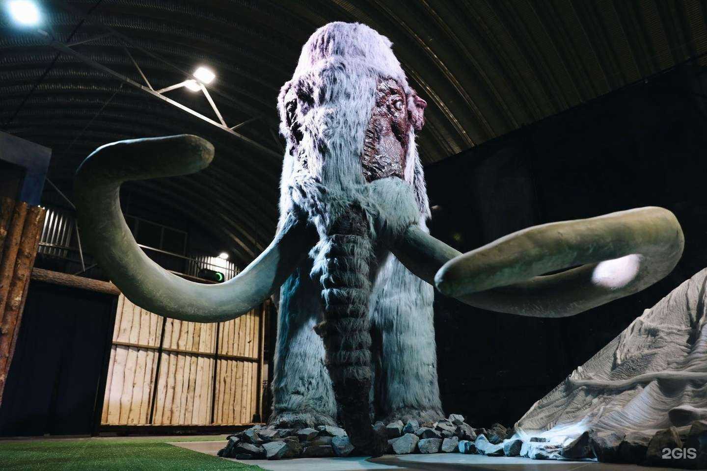 Отзывы на компанию Затерянный мир в Новосибирске c фото