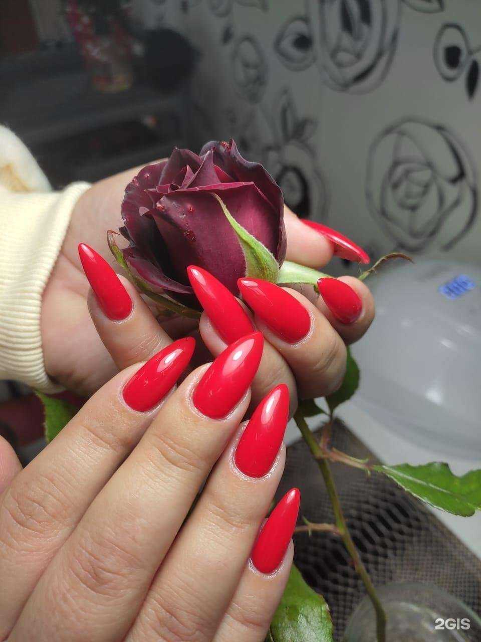 Отзывы на компанию Чубчик в Анапе c фото