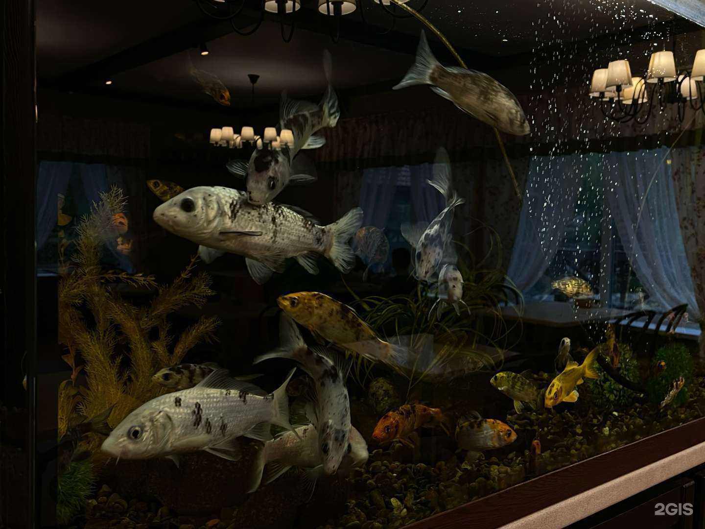 Отзывы на компанию Кафе-блинная в Красноярске c фото